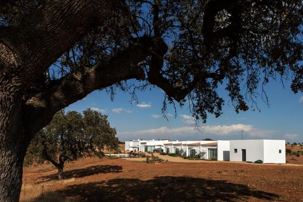A modern building with a flat roof, surrounded by dry grassland and a large tree.