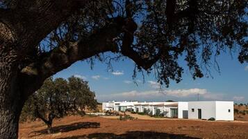 A modern building with a flat roof, surrounded by dry grassland and a large tree.