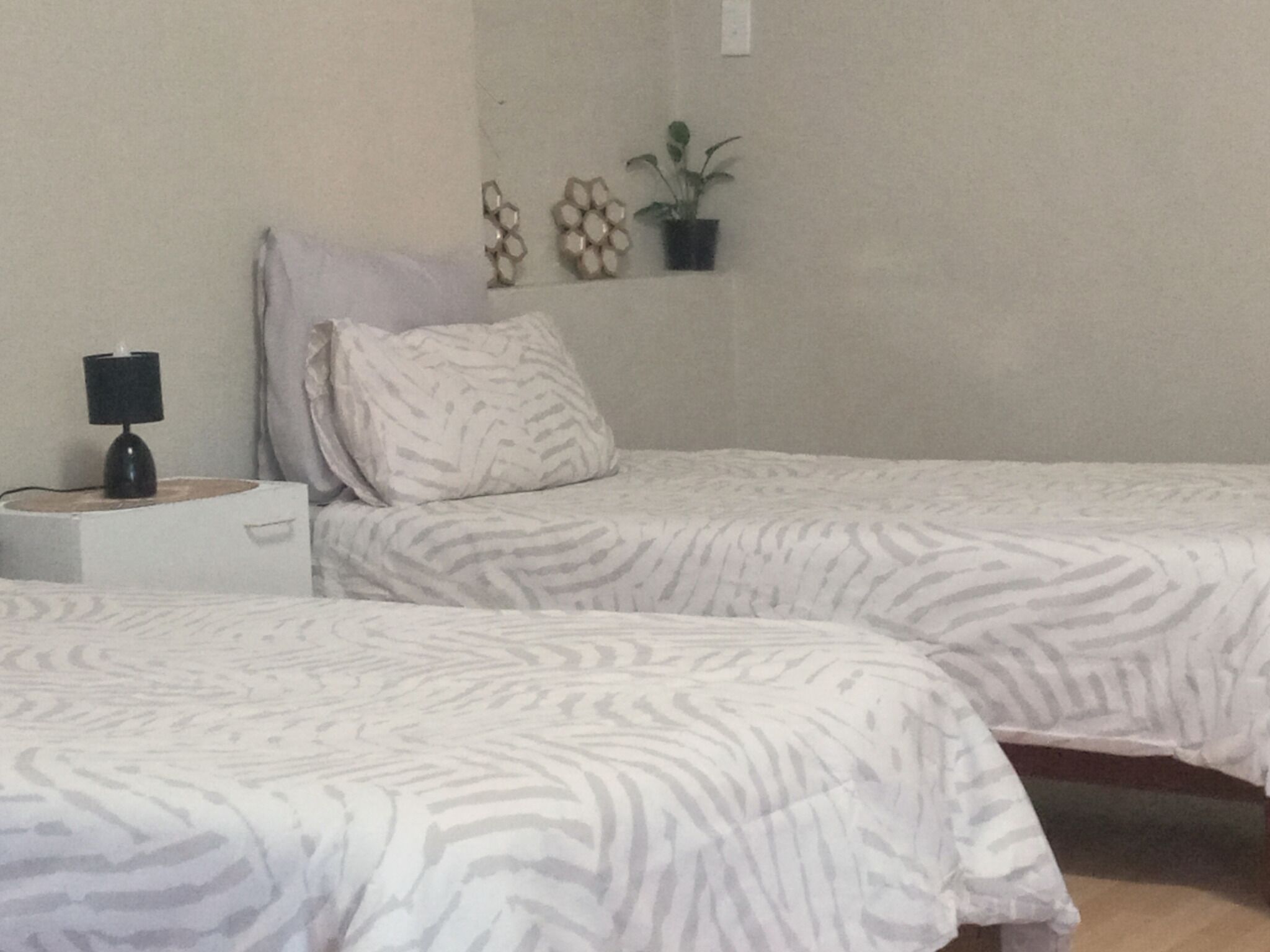 A bedroom with two beds, a bedside table with a lamp, and a wall-mounted shelf with a potted plant.