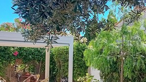 Ett takförsett utomhusområde med sittplatser, bestående av stolar och bord, omgivet av frodig grönska och träd.