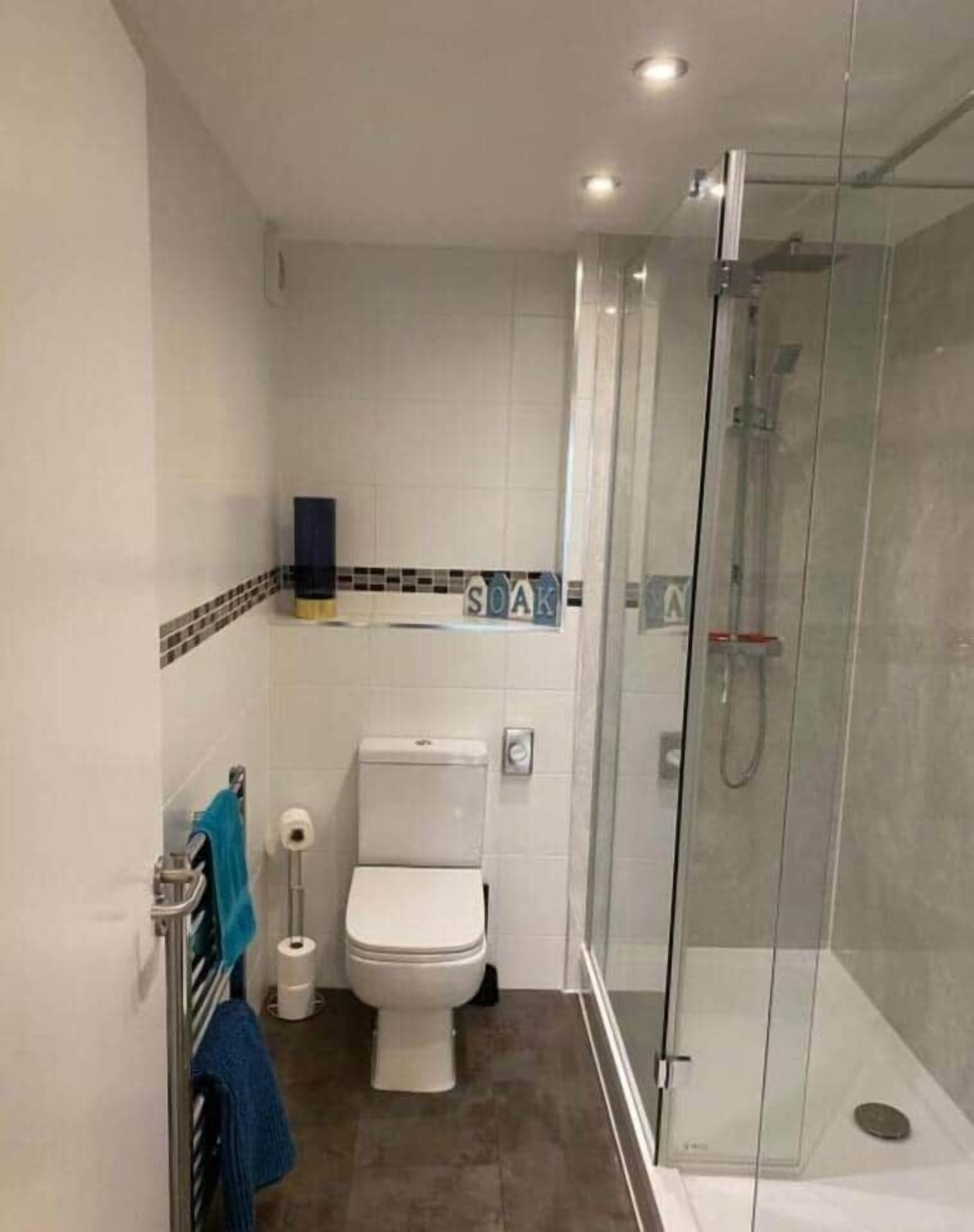 Shower, hair dryer, towels