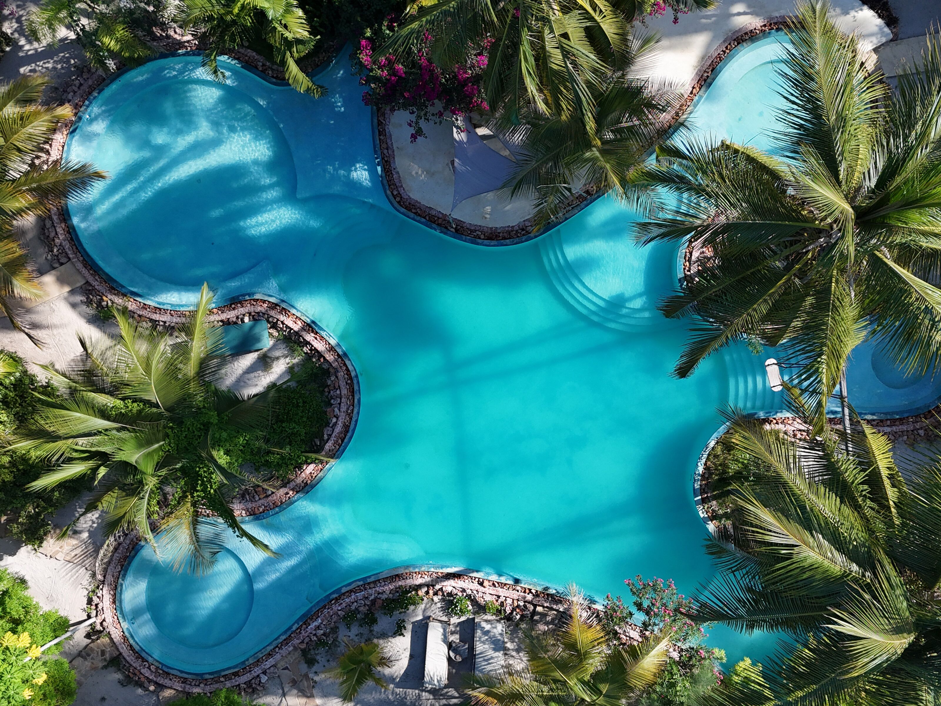 An aerial view of a pool surrounded by palm trees and a stone border.