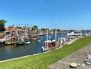 Puerto deportivo