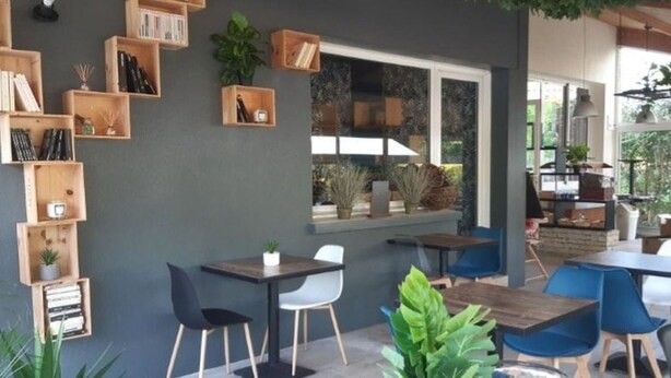 A modern interior with wooden shelves, a dining area with blue chairs, and potted plants. - Chalet with AC, pets allowed - 6 guests (Coulon)