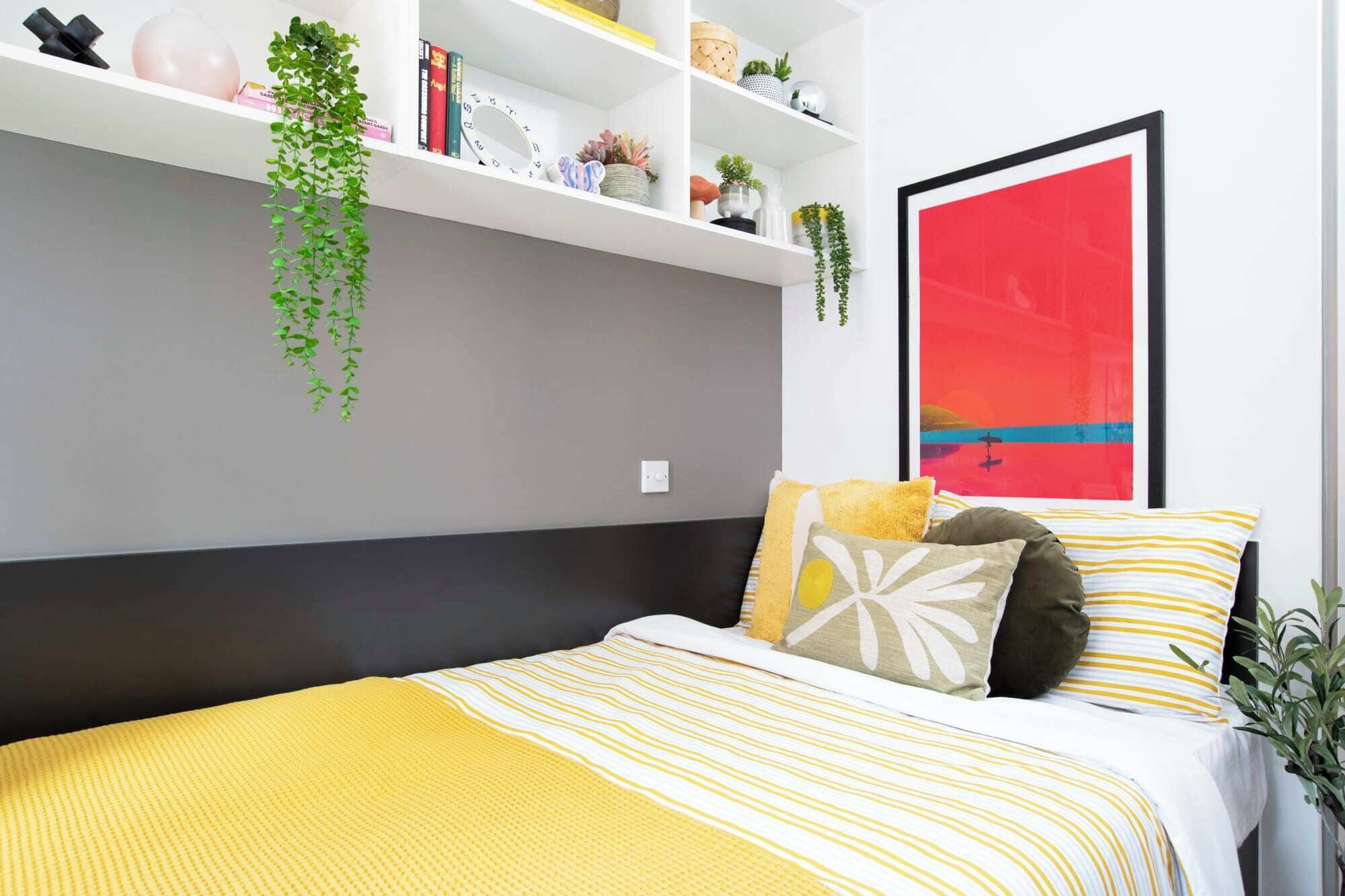 A bedroom with a bed, a shelf with plants, a framed picture, and a bedside table.