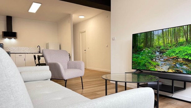 Ein modernes Wohnzimmer mit einer Couch, einem Sessel und einem Glastisch. Ein Flachbildfernseher an der Wand zeigt eine Waldszene.
