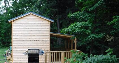 Rustic Bunkie with Lake Front View!