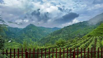 A mountainous landscape with a red fence in the foreground.