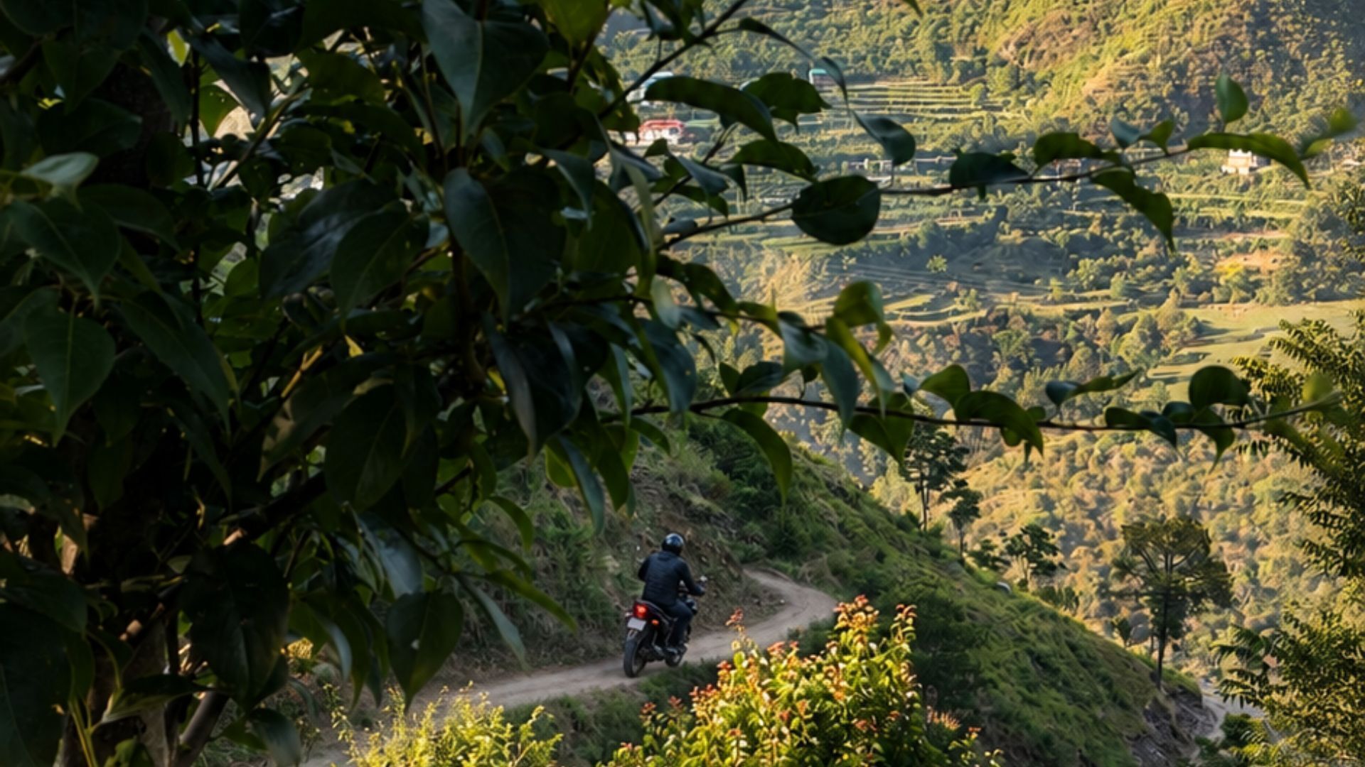 A motorcyclist on a winding road with a hilly landscape in the background.