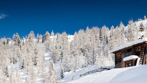 Una cabaña de madera rodeada de árboles cubiertos de nieve.