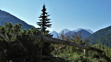 A mountainous landscape with a fallen log in the foreground and a coniferous tree.