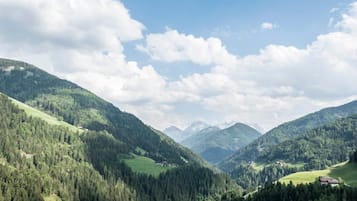 Un paisaje montañoso con bosques densos y un cielo despejado.