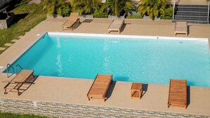 A rectangular swimming pool with a stone border, surrounded by lounge chairs and palm trees.