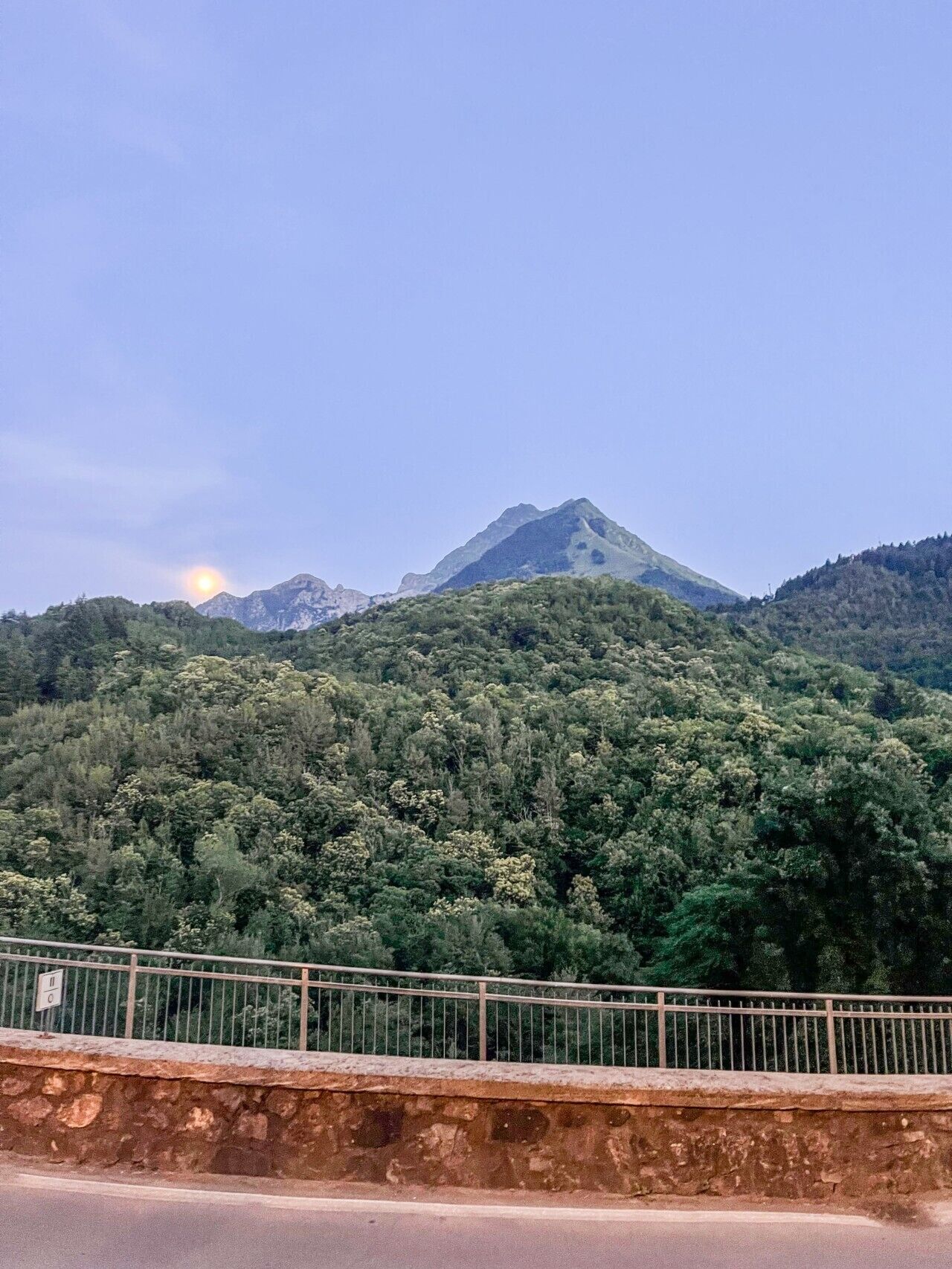 A mountainous landscape with dense forest, a clear sky, and a metal railing in the foreground.