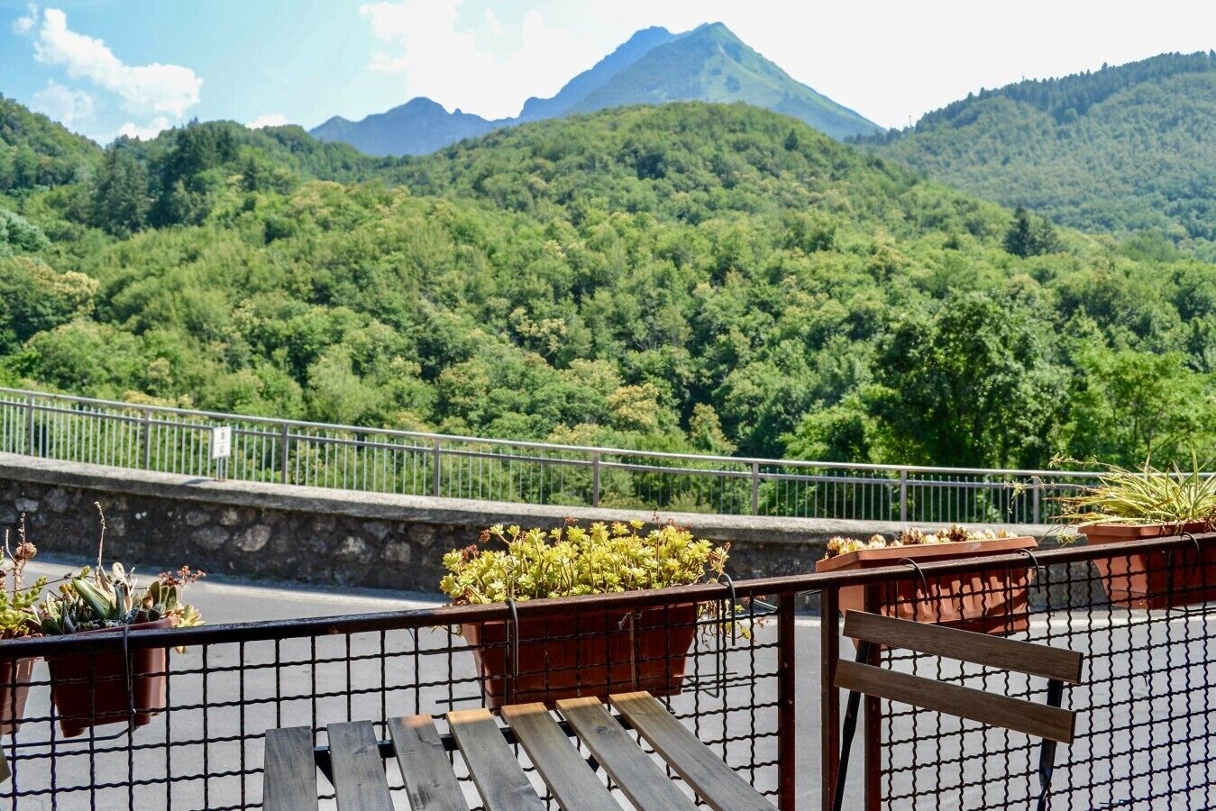 Un balcon agrémenté de plantes en pot, une rambarde en métal et une vue sur une chaîne de montagnes boisées.