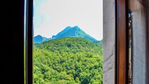Vista a través de un vano de puerta de una montaña con denso bosque verde.