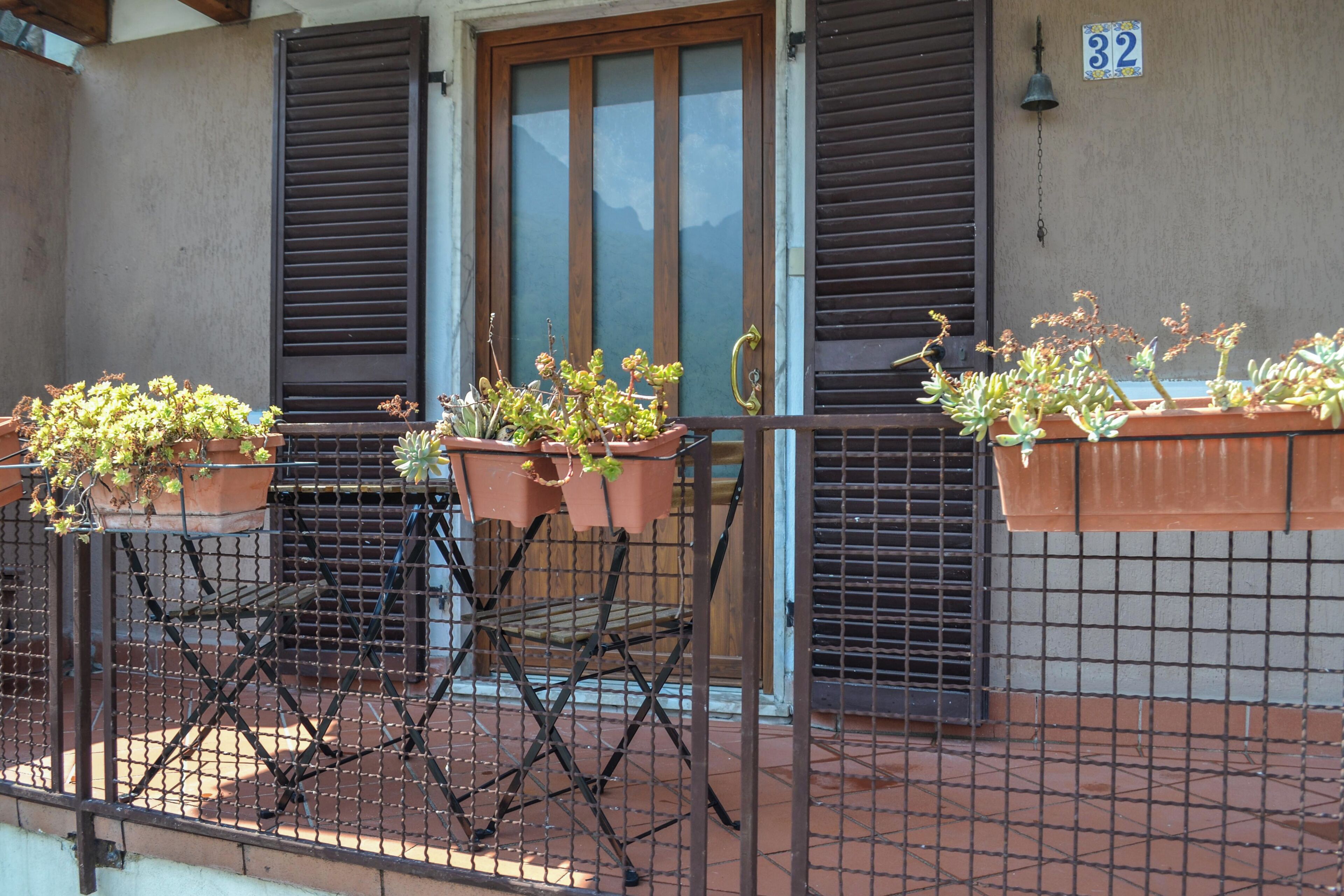 Teras/patio