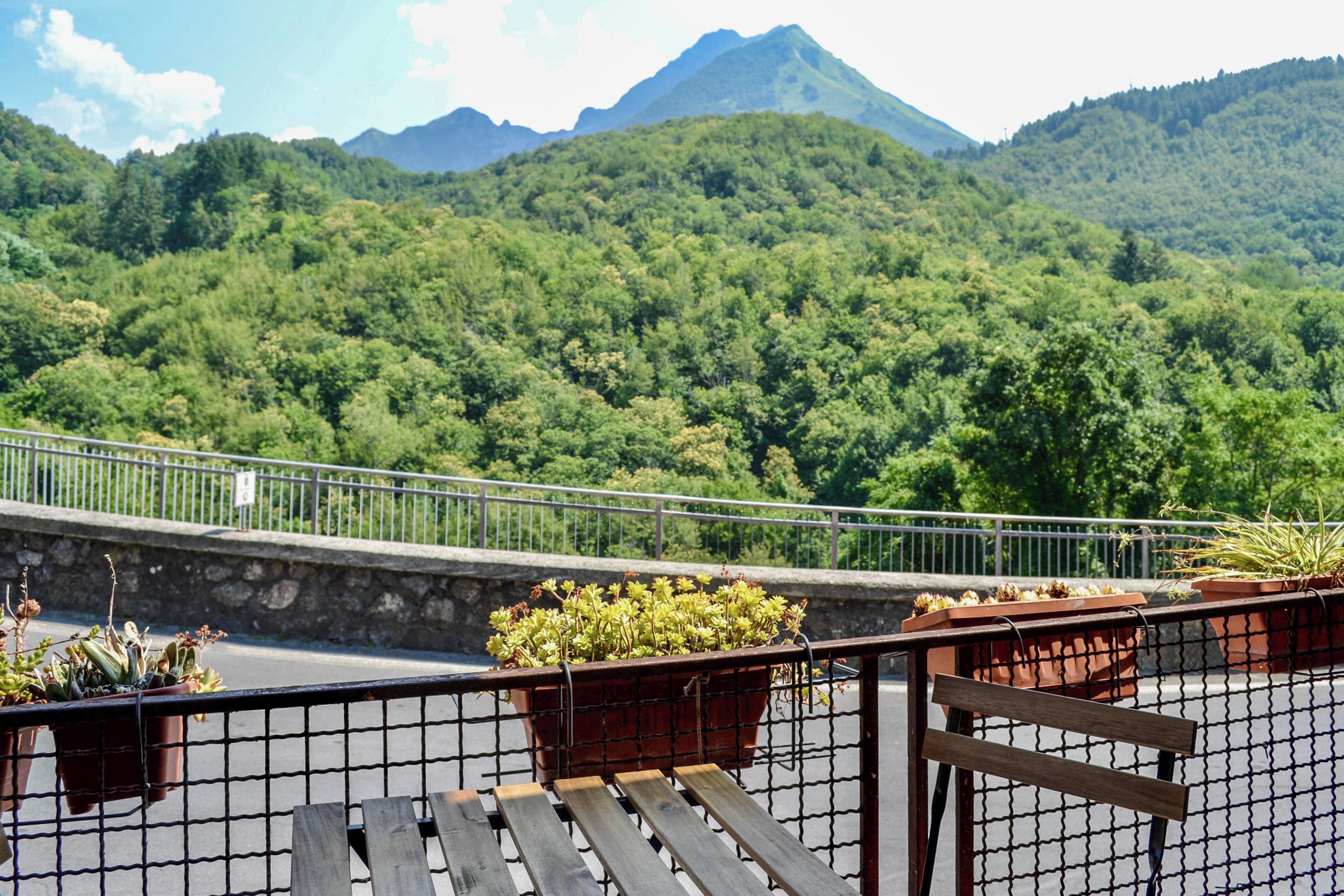 Un balcon agrémenté de plantes en pot, un banc en bois et une vue sur une montagne verdoyante.