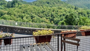 Un balcón con plantas en macetas, una banca de madera y vistas a una montaña verde exuberante.