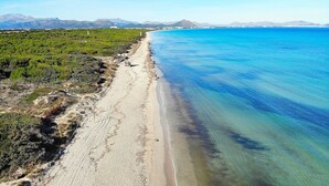 A coastal landscape with a sandy beach, clear blue water, and green vegetation. - 286 Palmitos 1 by Mallorca Charme (Can Picafort)