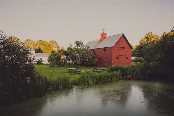 A red barn with a metal roof, surrounded by green grass and trees. - Entire Farm! The Homestead & Barn at Winterfound (Woodstock)