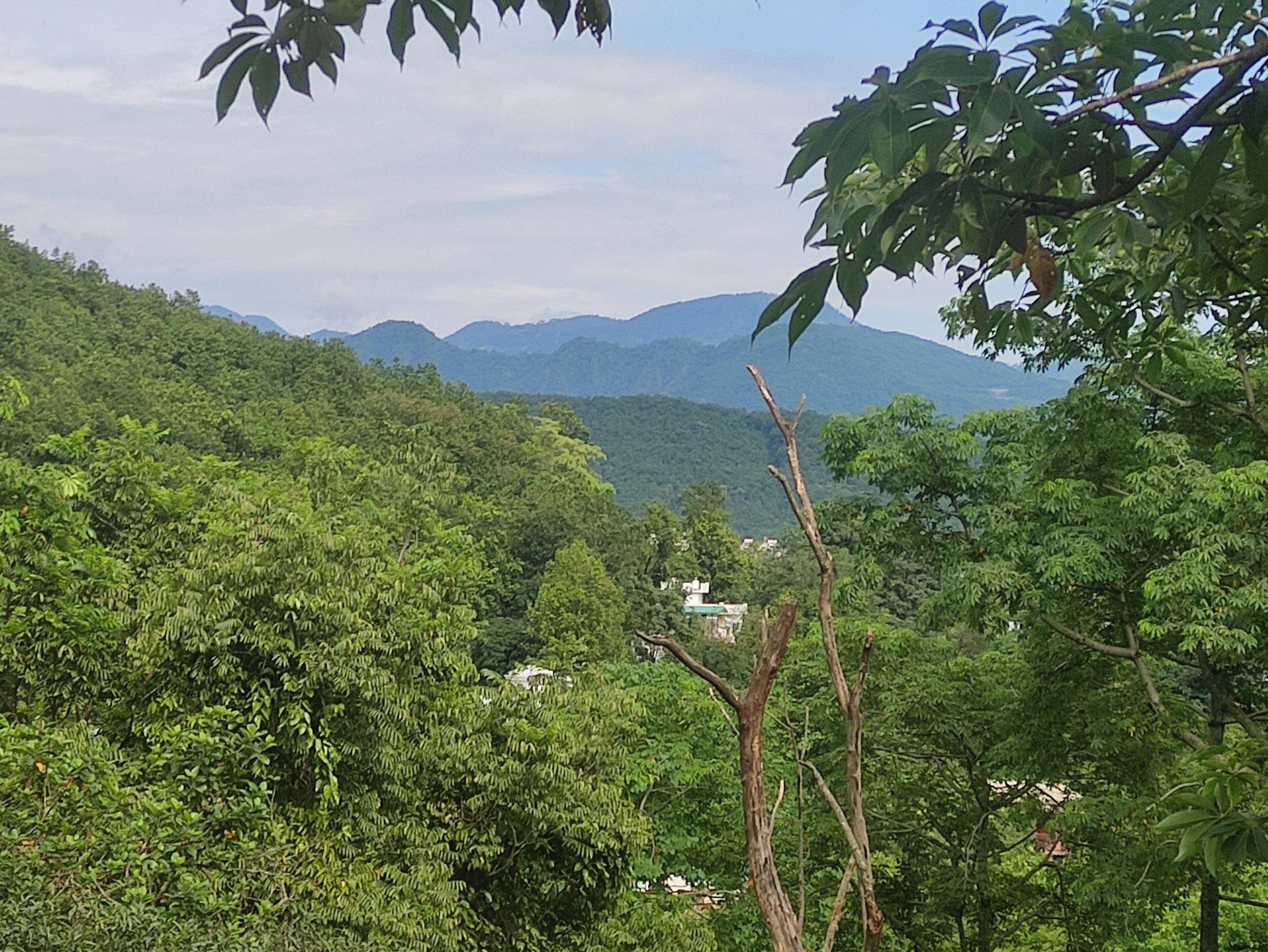 标准四人房, 阳台, 山景 | 其他