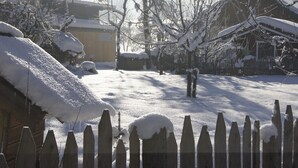 Un patio cubierto de nieve con una valla de madera, un edificio con techo nevado y árboles desprovistos de hojas.