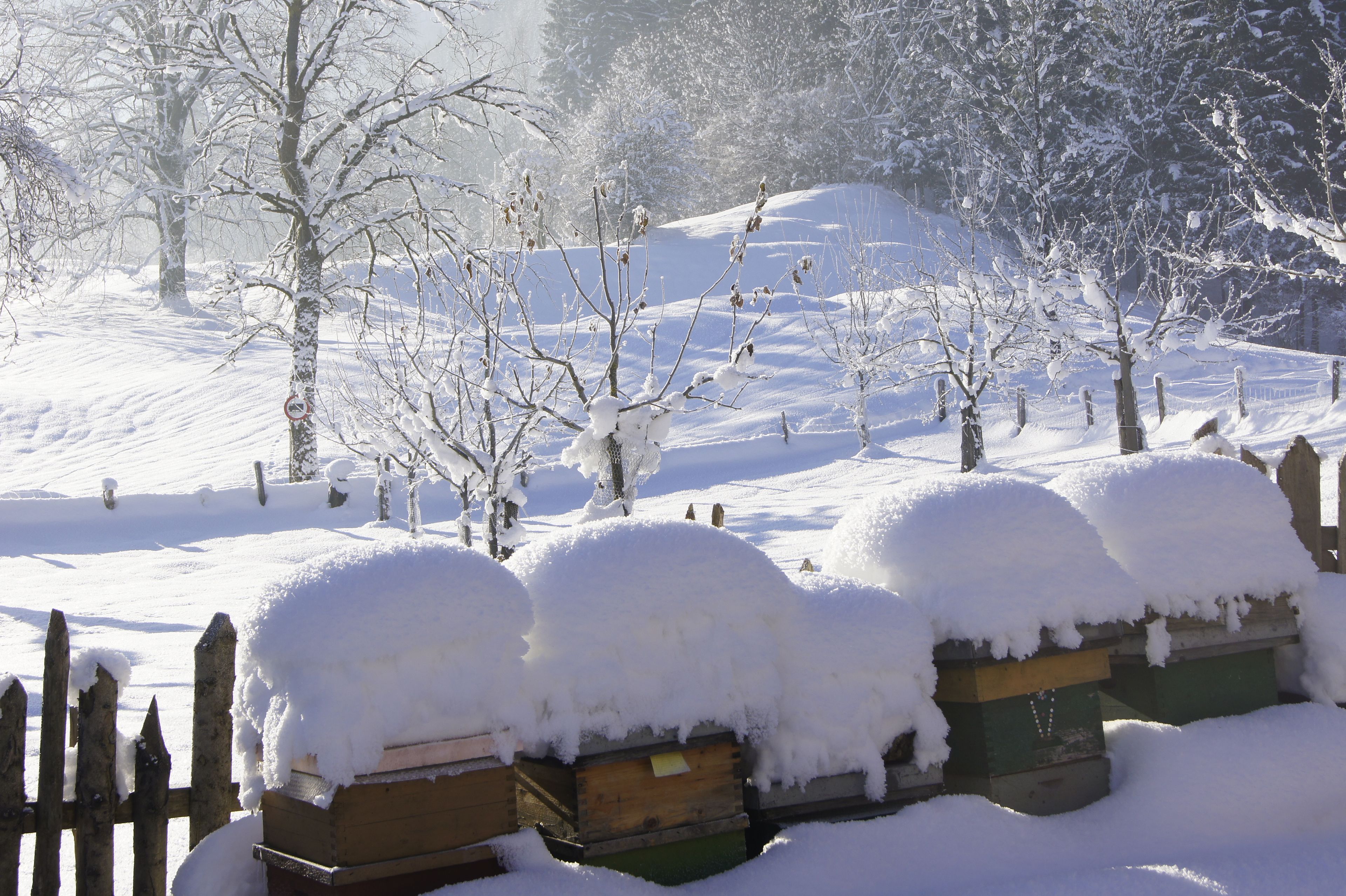 A snow-covered landscape with wooden structures and bare trees.