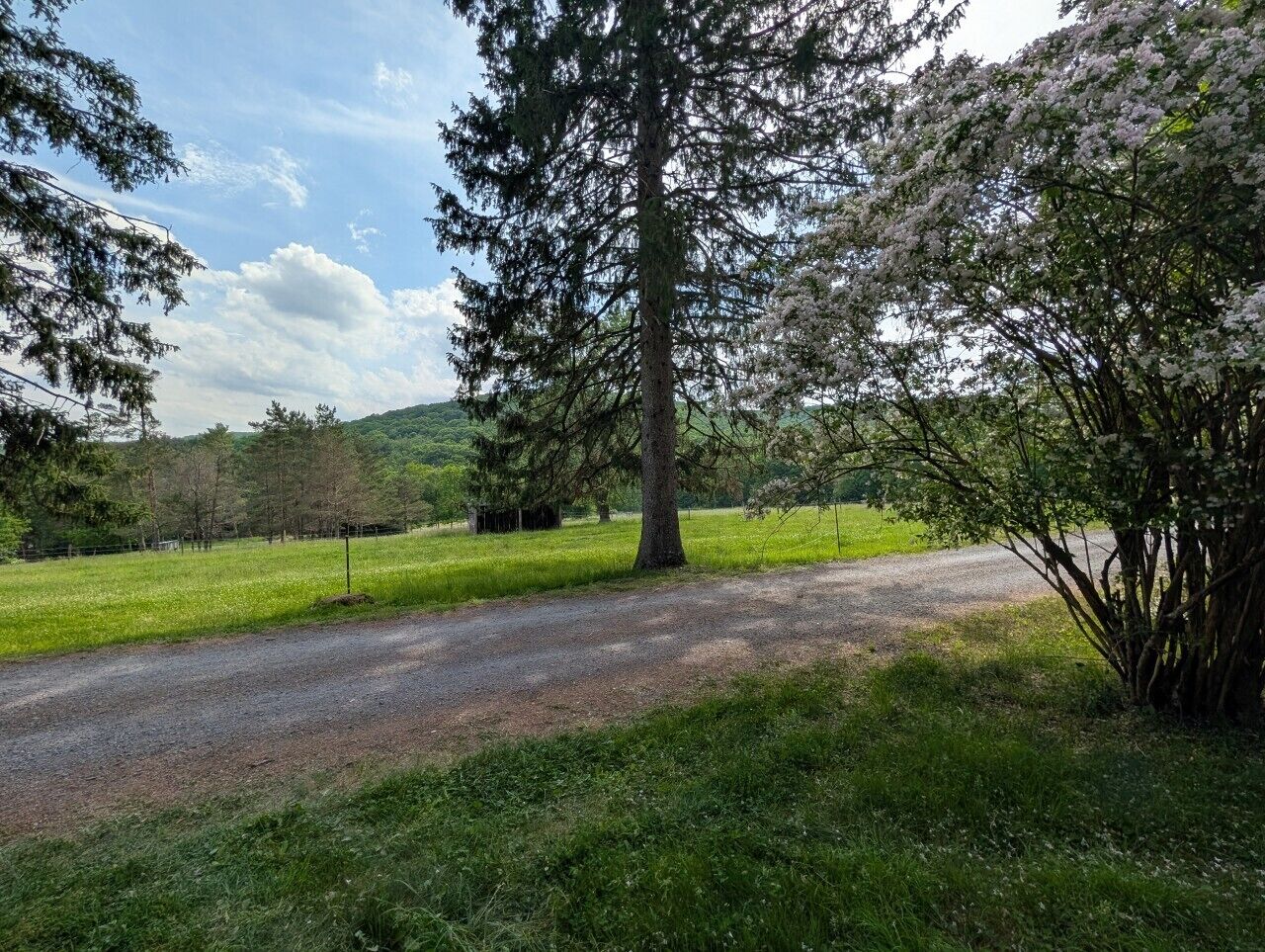Un camino de grava en un paisaje verde con árboles y cielo despejado.