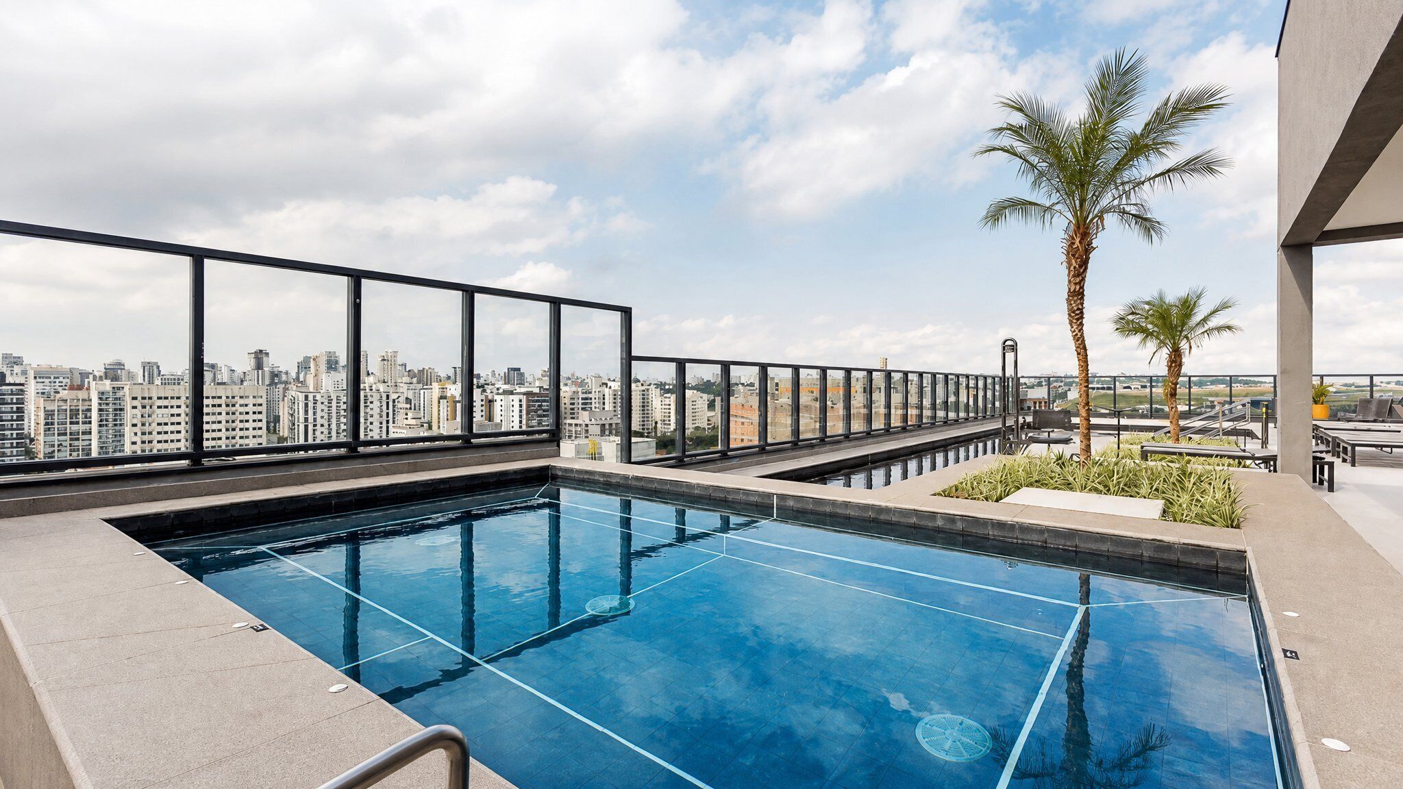 Piscina no terraço com vista para a cidade, uma palmeira e design arquitetônico moderno.