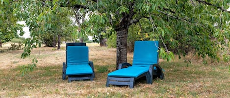 Two blue lounge chairs under a tree in a grassy area.