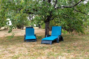 Two blue lounge chairs under a tree in a grassy area.