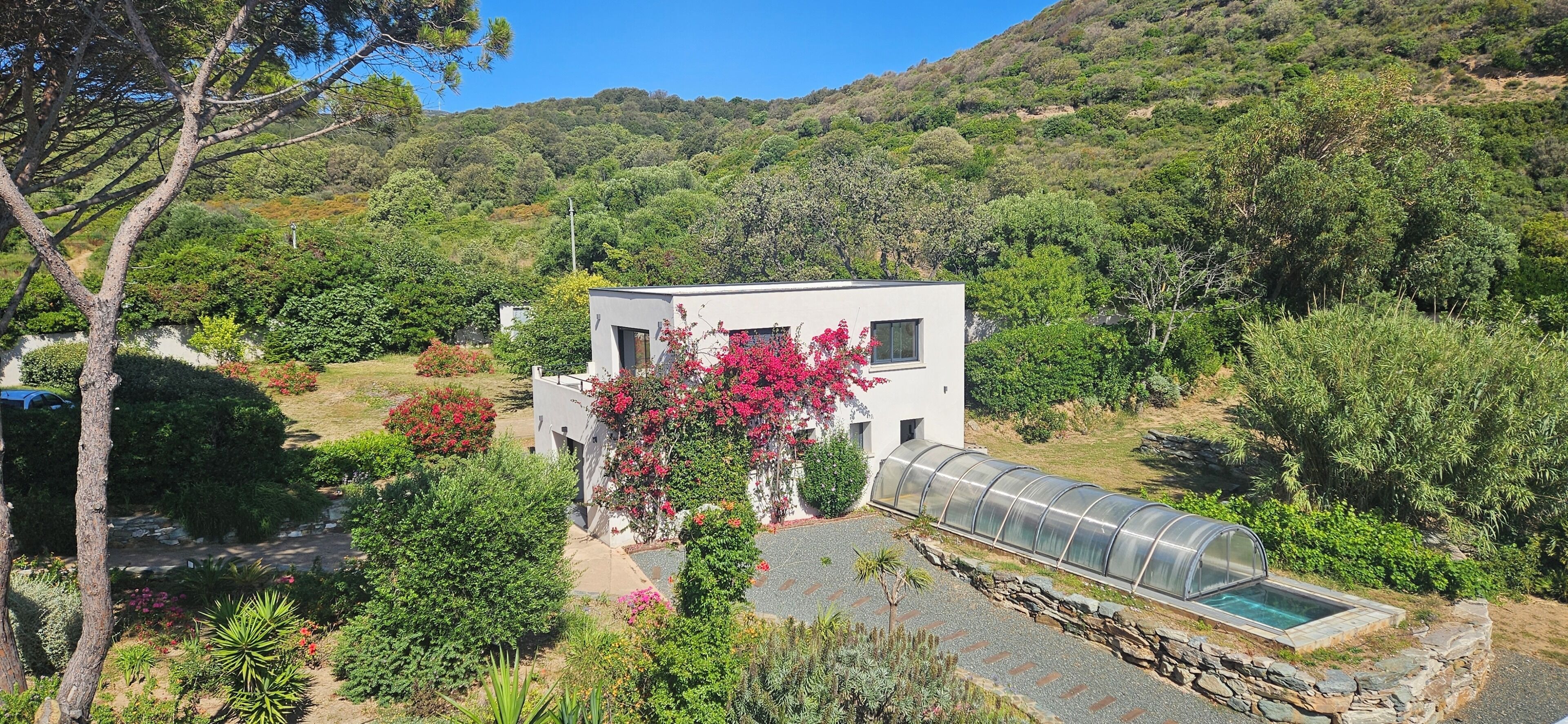 A modern house with a garden, a greenhouse, and a pool.