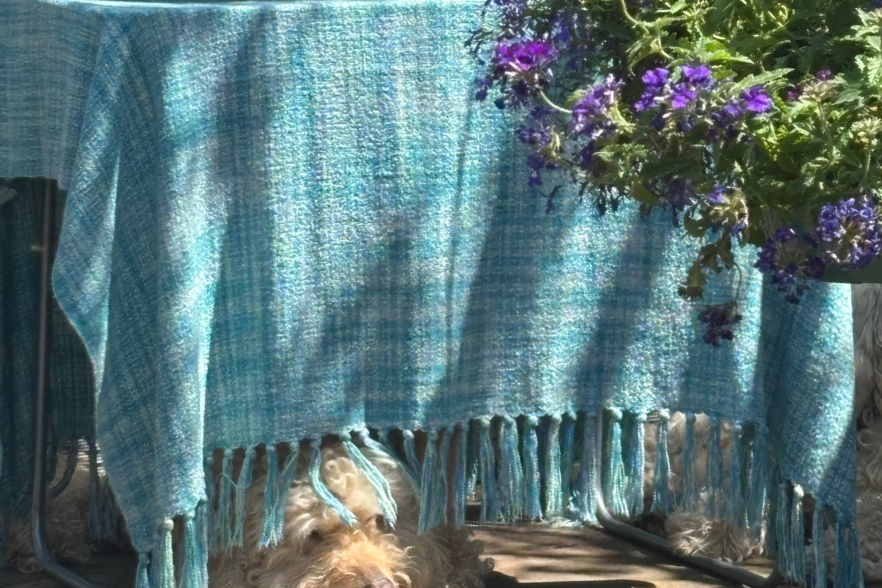 A room with a blue textured tablecloth, a hanging plant with purple flowers, and a fluffy white rug.