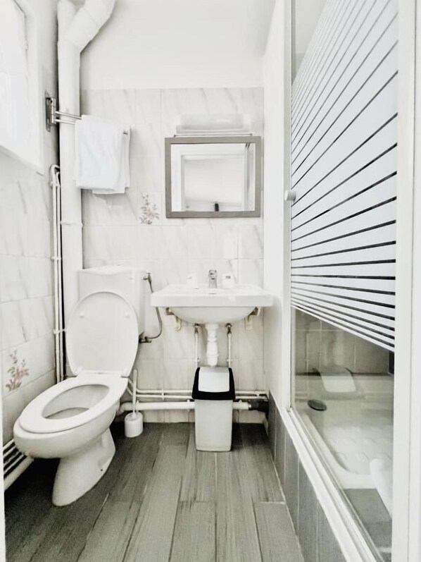 A bathroom with a toilet, sink, and mirror.