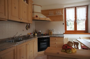 Kühlschrank, Mikrowelle, Herdplatte, Geschirrspüler