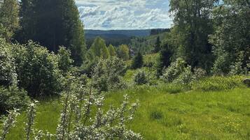 En gräsklädd åker med träd och ett hus i fjärran.