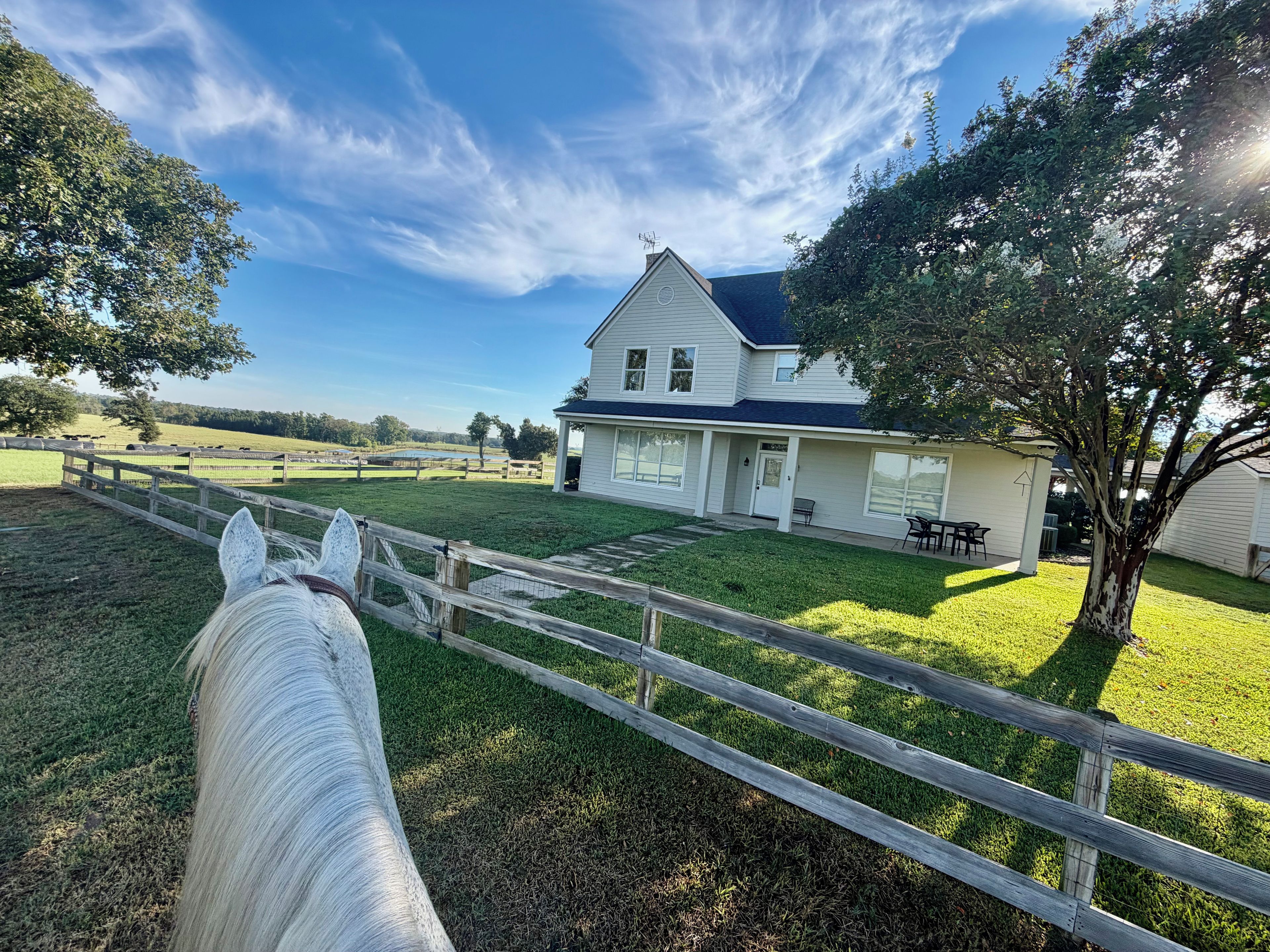 A stable with a white horse, a wooden fence, and a house with a porch and outdoor seating.