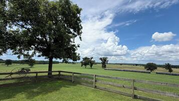 A fenced grassy area with trees and a clear sky.