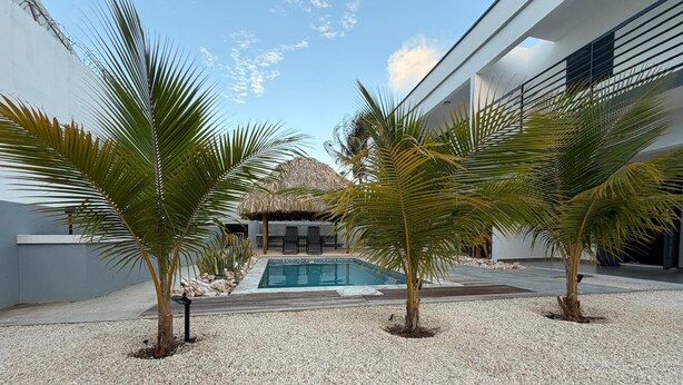 Un área de piscina moderna con palmeras, una estructura de techo de paja y cielo azul despejado.