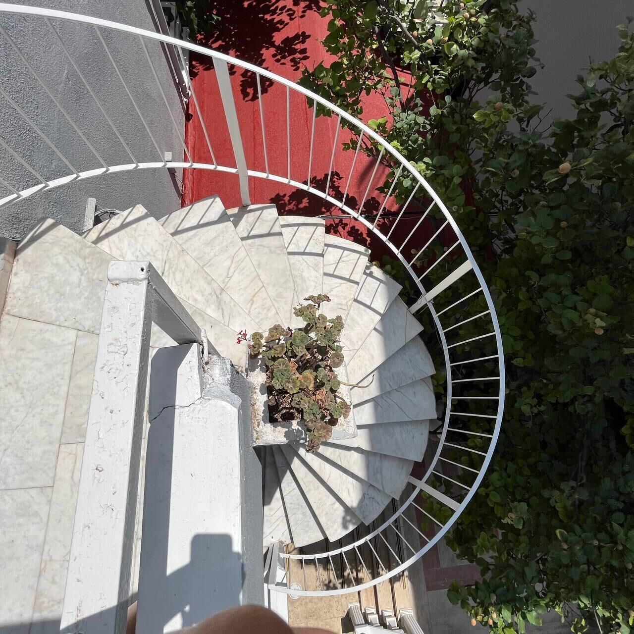 Eine Wendeltreppe mit weißer Metallreling, eine Topfpflanze am Fuß und eine rote Wand im Hintergrund.