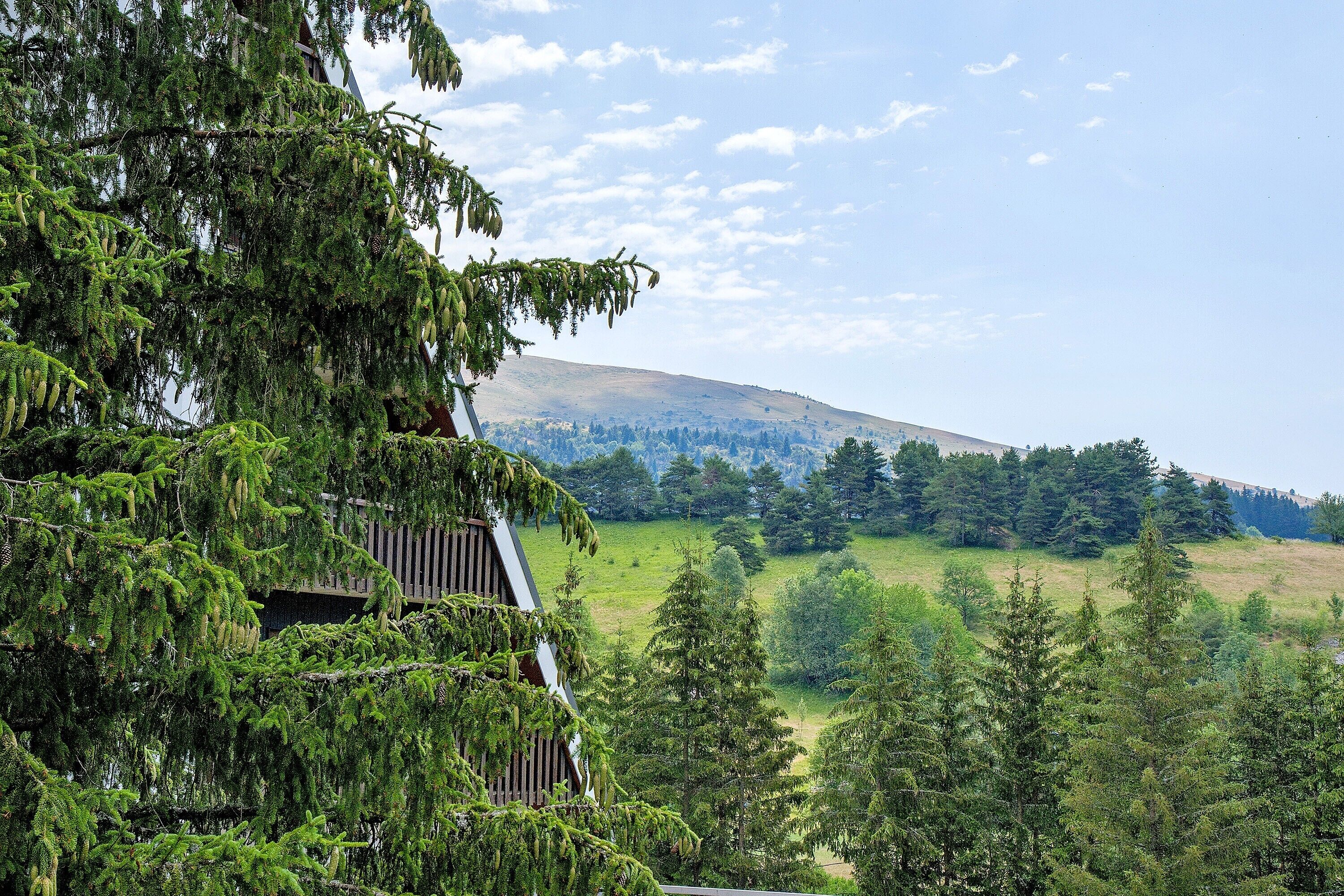 Paisatge de muntanyes amb un bosc dens i un edifici amb teulada inclinada.