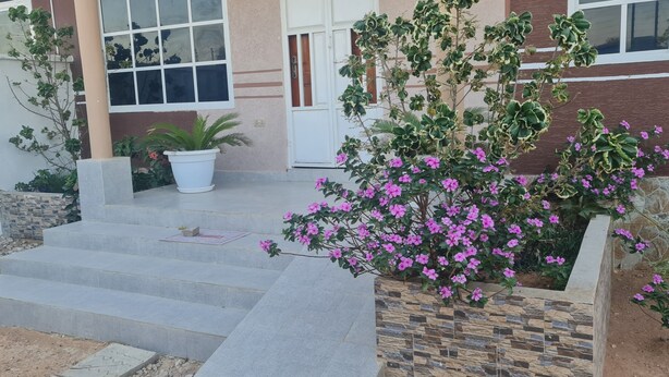A building with a staircase leading to a door, surrounded by potted plants and flowering shrubs. - North Gates - 3 Spacious Ensuite Family Home (Dodoma)