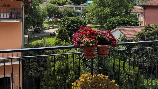 A balcony with potted plants, a view of a hillside, and a building with a sign.