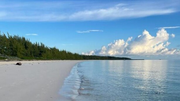 Ein Strand mit klarem Wasser, einem Sandufer und einem bewaldeten Hintergrund.
