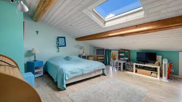 A bedroom with a skylight, a bed, a desk, a TV, and a bookshelf.