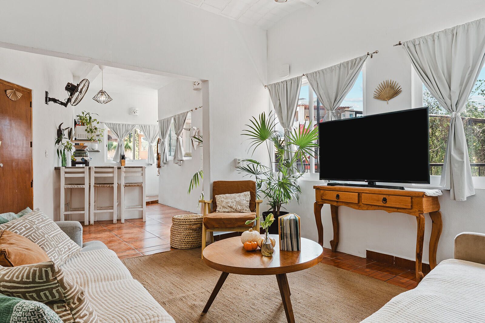 A living room with a TV, sofa, coffee table, and plants.
