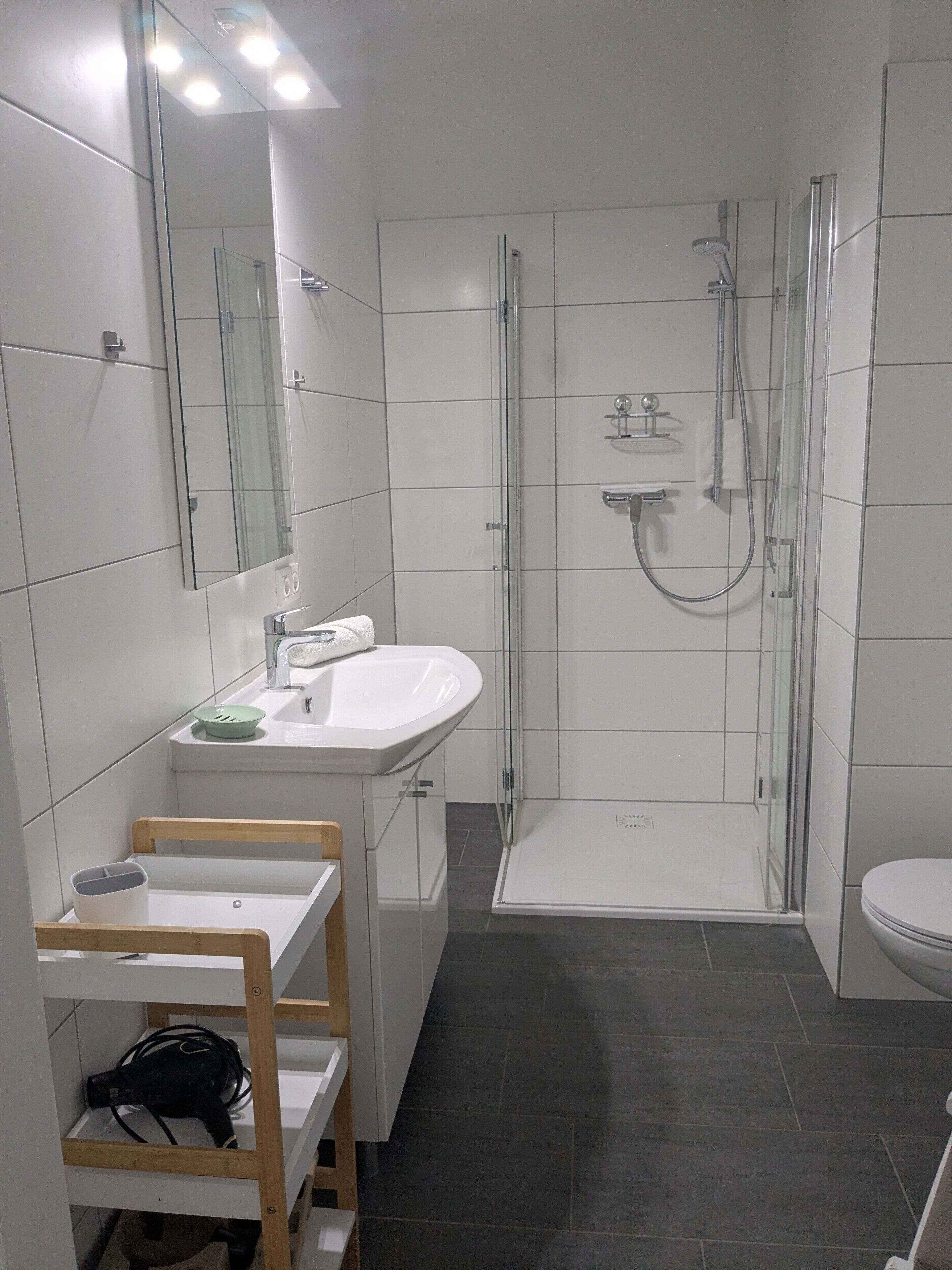 Shower, hair dryer, towels