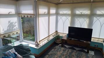 Smart TV, DVD player, books, video library