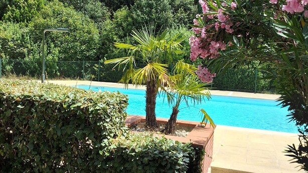 A swimming pool surrounded by lush greenery and a metal fence.